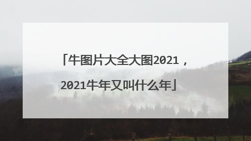牛图片大全大图2021，2021牛年又叫什么年