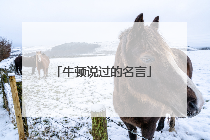 牛顿说过的名言