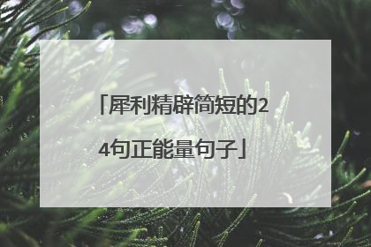 犀利精辟简短的24句正能量句子