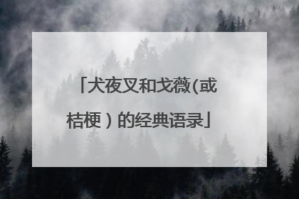 犬夜叉和戈薇(或桔梗)的经典语录