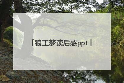 狼王梦读后感ppt