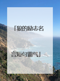 狼的励志名言短句霸气