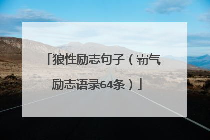 狼性励志句子(霸气励志语录64条)