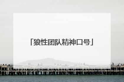 狼性团队精神口号