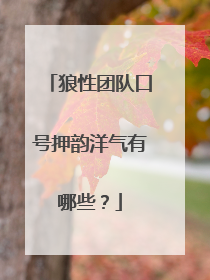 狼性团队口号押韵洋气有哪些？