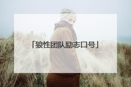 狼性团队励志口号