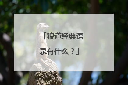 狼道经典语录有什么?
