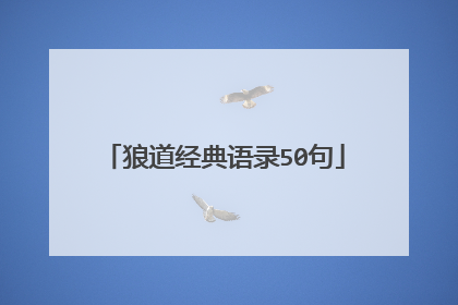 狼道经典语录50句