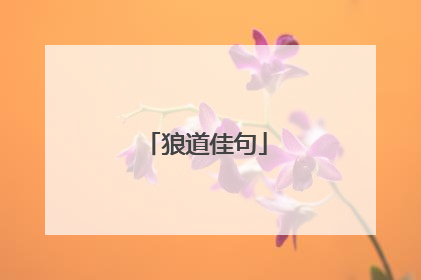 狼道佳句
