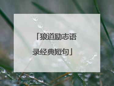狼道励志语录经典短句