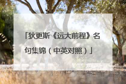 狄更斯《远大前程》名句集锦（中英对照）