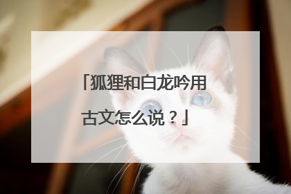 狐狸和白龙吟用古文怎么说？