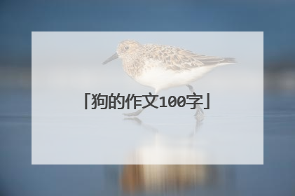狗的作文100字