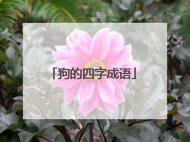 狗的四字成语