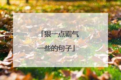 狠一点霸气一些的句子