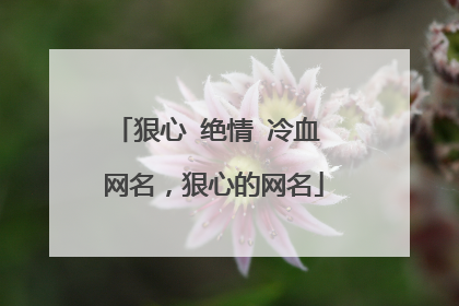 狠心 绝情 冷血 网名,狠心的网名