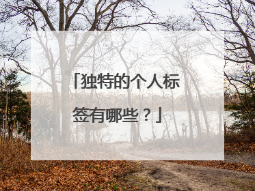 独特的个人标签有哪些？