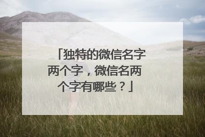 独特的微信名字两个字,微信名两个字有哪些?