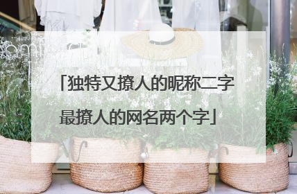 独特又撩人的昵称二字最撩人的网名两个字