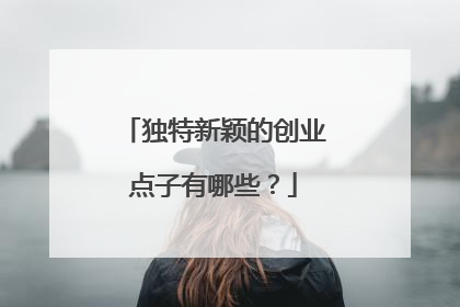 独特新颖的创业点子有哪些？
