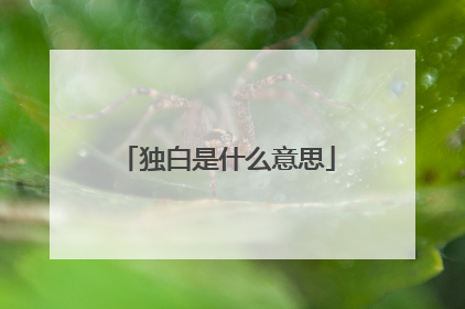 独白是什么意思