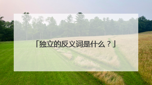 独立的反义词是什么？