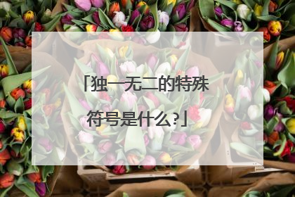 独一无二的特殊符号是什么?