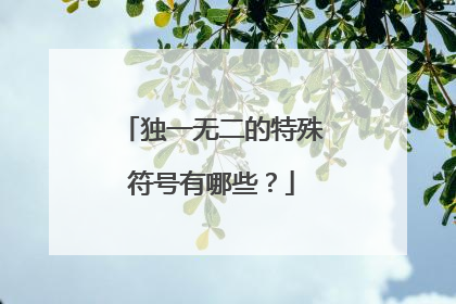 独一无二的特殊符号有哪些?
