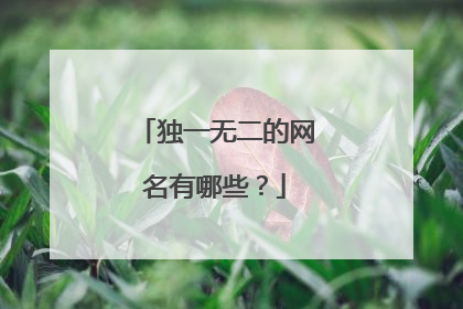 独一无二的网名有哪些？