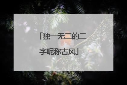 独一无二的二字昵称古风