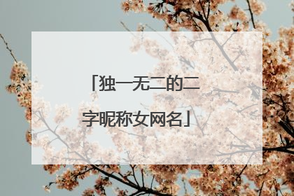 独一无二的二字昵称女网名