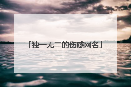 独一无二的伤感网名