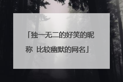 独一无二的好笑的昵称 比较幽默的网名