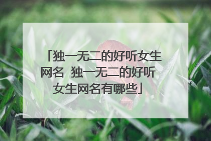 独一无二的好听女生网名 独一无二的好听女生网名有哪些