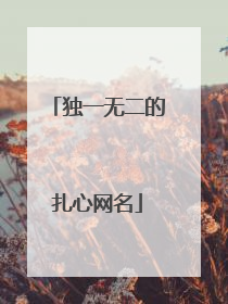 独一无二的扎心网名