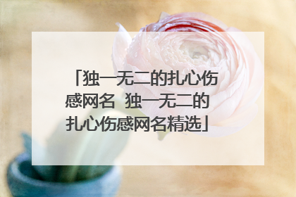 独一无二的扎心伤感网名 独一无二的扎心伤感网名精选