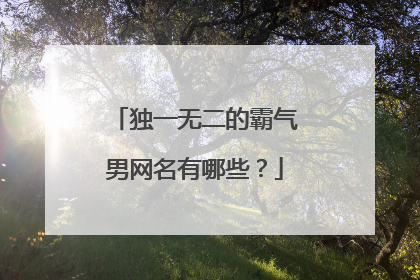 独一无二的霸气男网名有哪些?