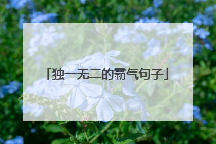 独一无二的霸气句子