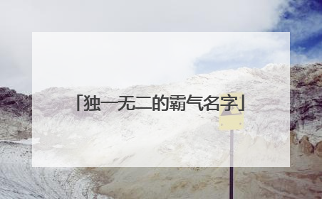 独一无二的霸气名字