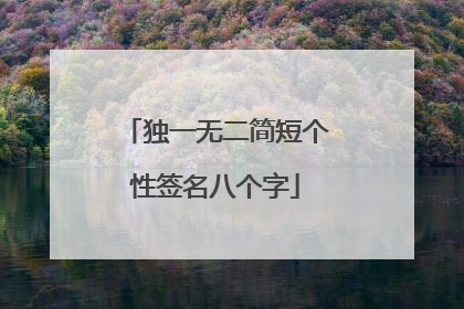 独一无二简短个性签名八个字