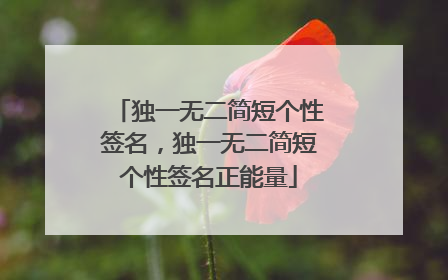 独一无二简短个性签名,独一无二简短个性签名正能量