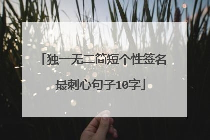 独一无二简短个性签名 最刺心句子10字