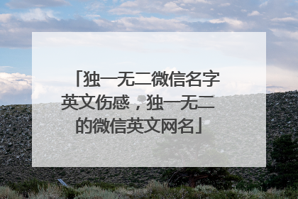 独一无二微信名字英文伤感,独一无二的微信英文网名
