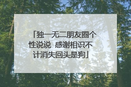 独一无二朋友圈个性说说 感谢相识不计消失回头是狗
