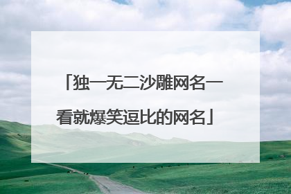 独一无二沙雕网名一看就爆笑逗比的网名