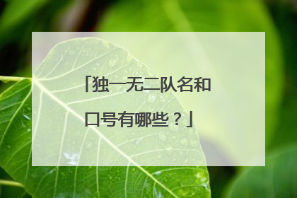独一无二队名和口号有哪些？