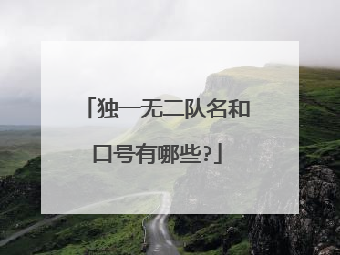 独一无二队名和口号有哪些?