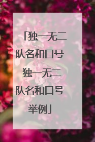 独一无二队名和口号 独一无二队名和口号举例