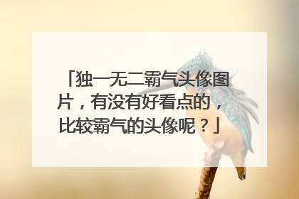 独一无二霸气头像图片,有没有好看点的,比较霸气的头像呢?