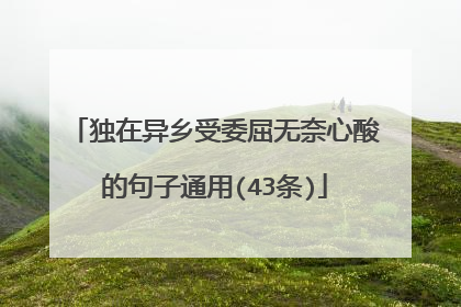 独在异乡受委屈无奈心酸的句子通用(43条)